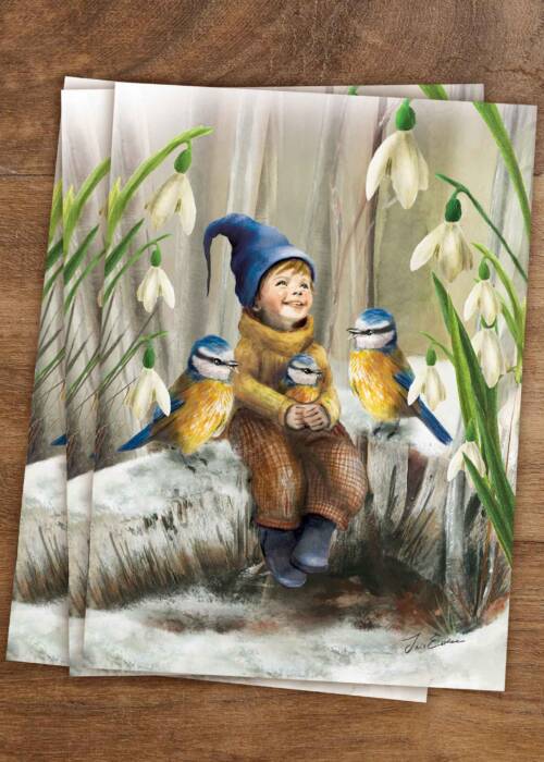 illustrated postcard